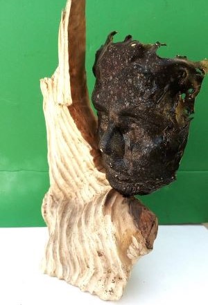 ESCULTURA MISTA (MADEIRA E PLASTICO) 35X20X15cm - CARABELA  -350 Euros